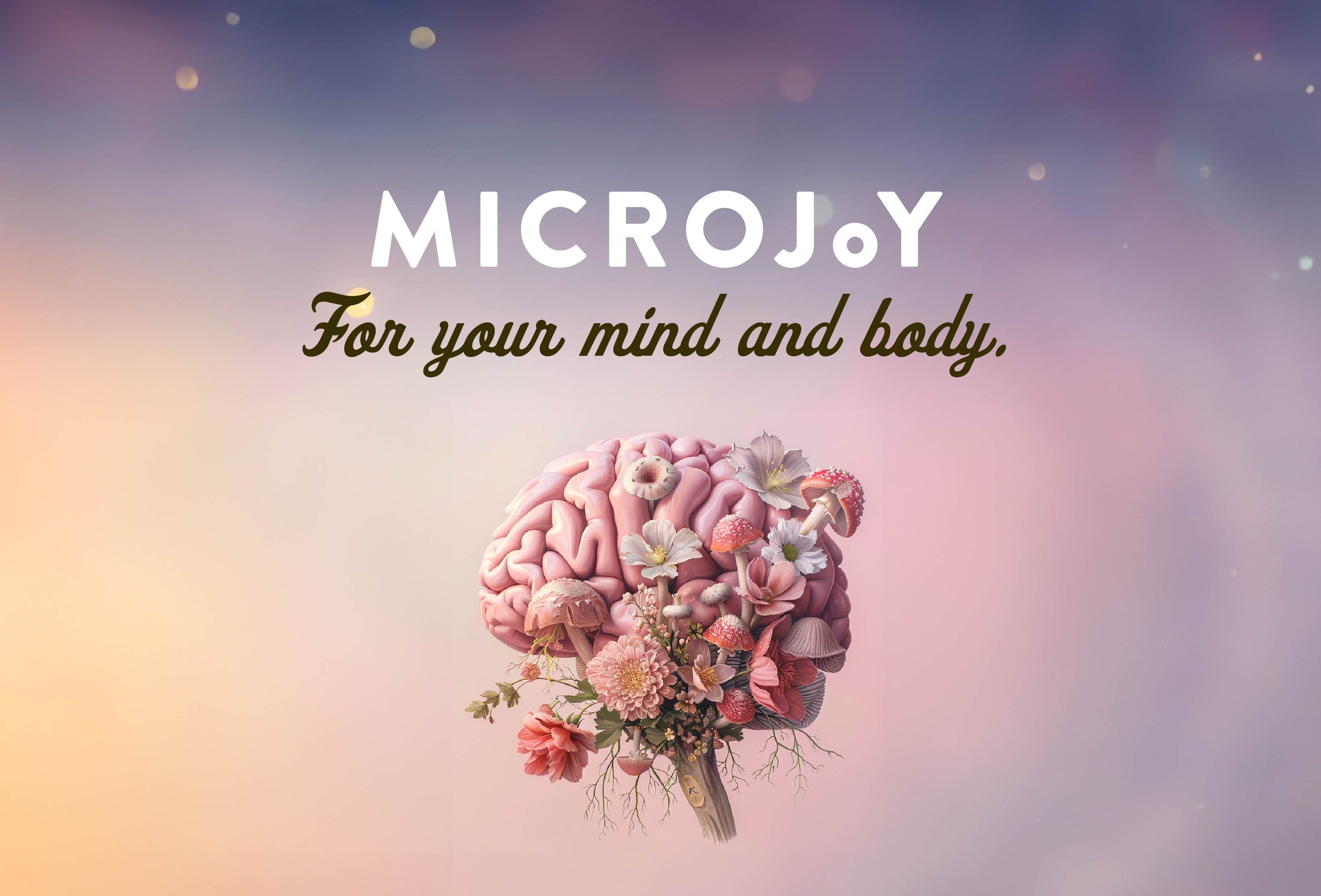 How Adaptogens and Nootropics Actually Work