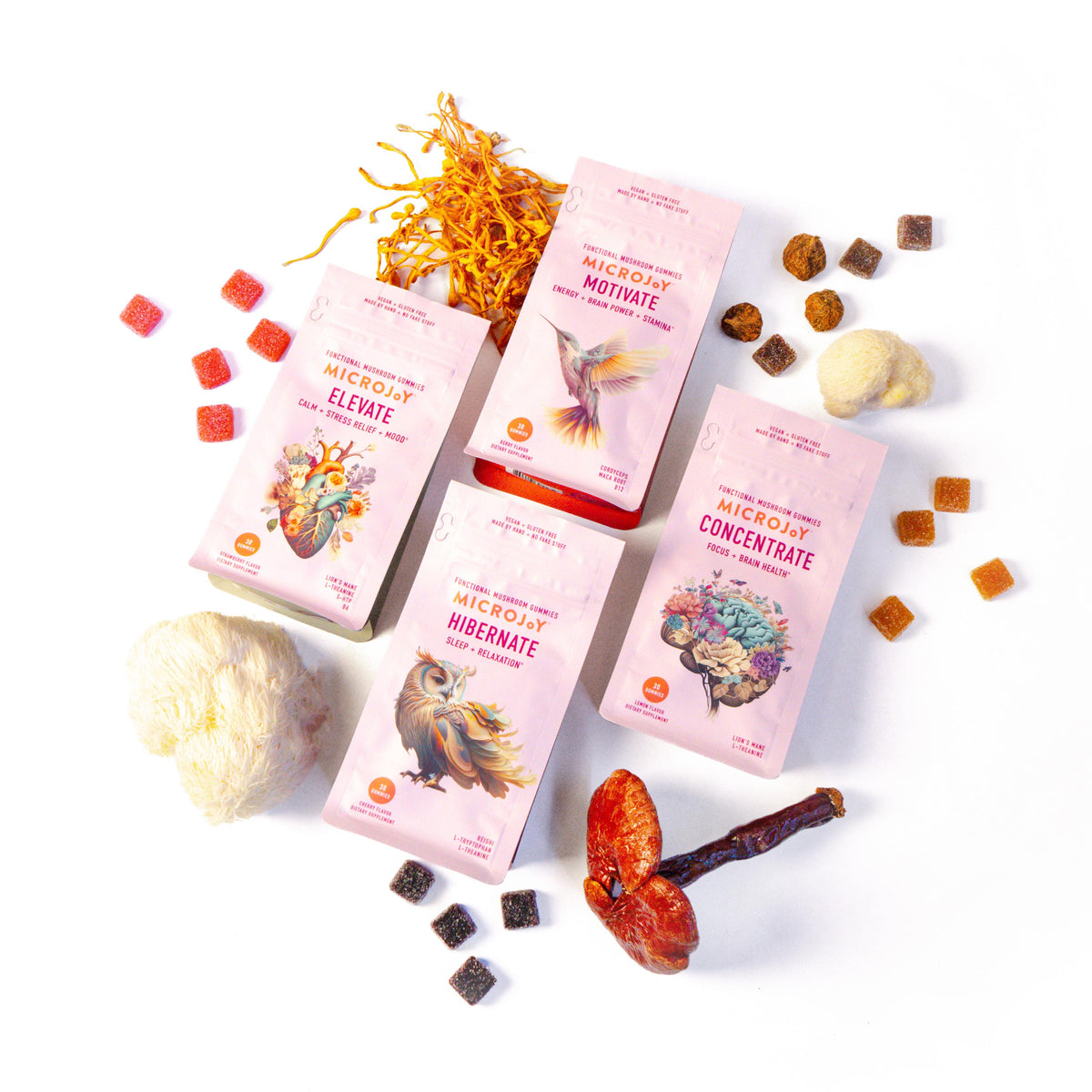 The Everything Bundle